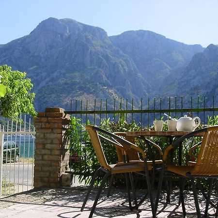 Apartment Mimosa Kotor Værelse billede
