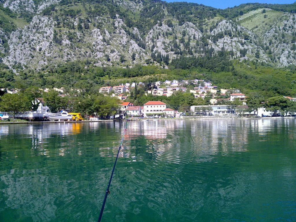 Apartment Mimosa Kotor Værelse billede