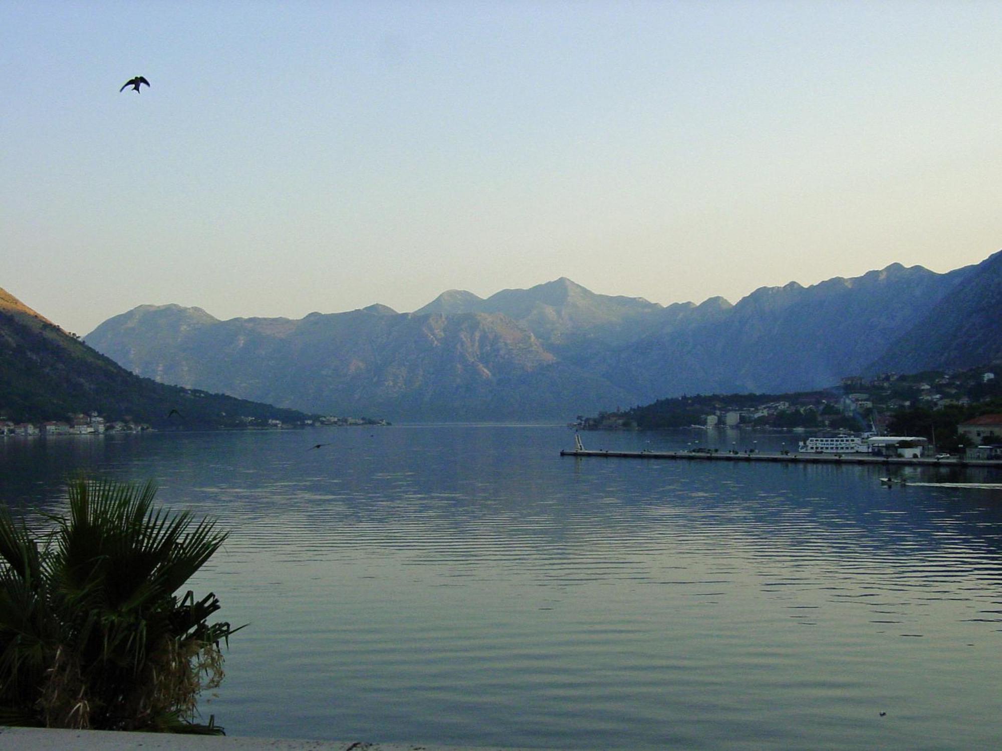 Apartment Mimosa Kotor Eksteriør billede