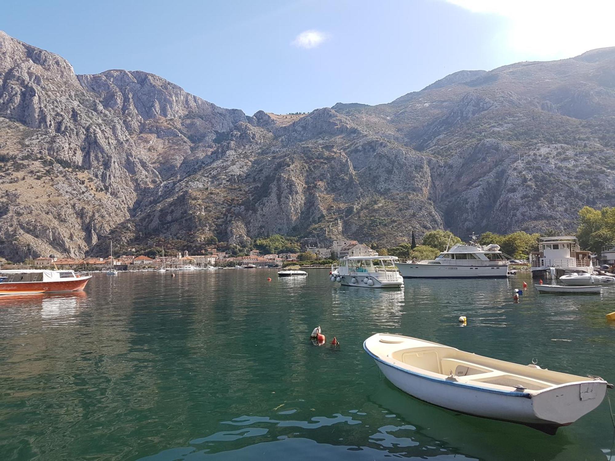 Apartment Mimosa Kotor Eksteriør billede