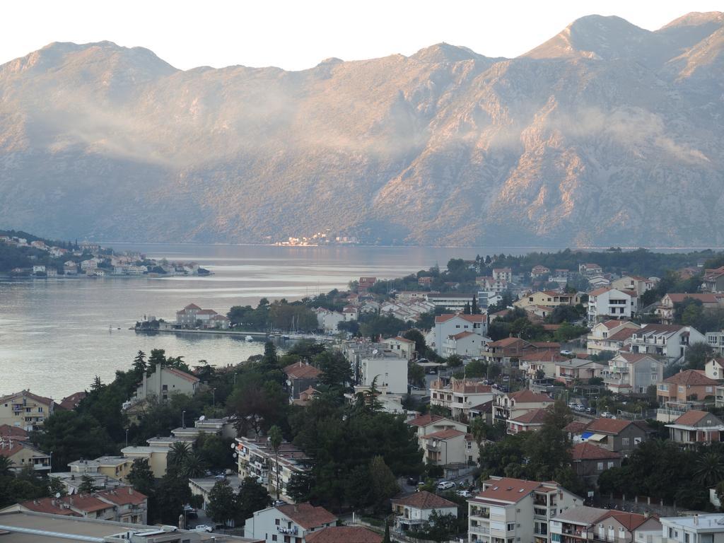 Apartment Mimosa Kotor Værelse billede
