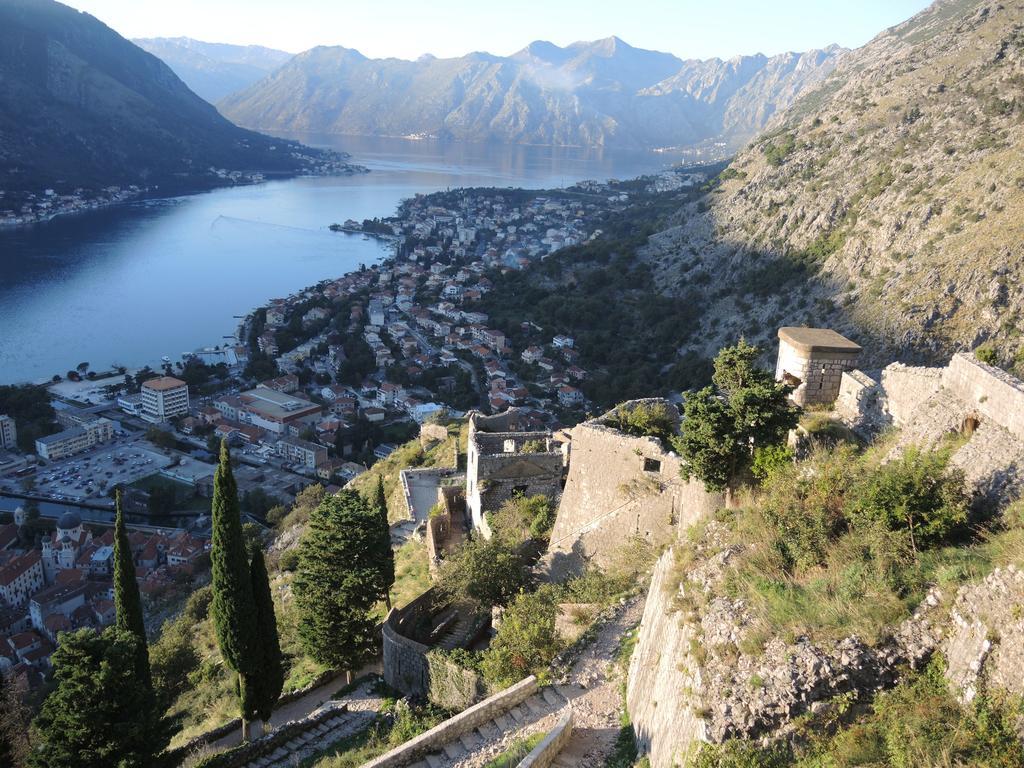 Apartment Mimosa Kotor Værelse billede