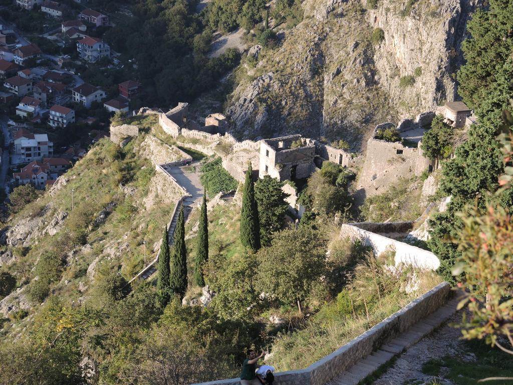 Apartment Mimosa Kotor Værelse billede