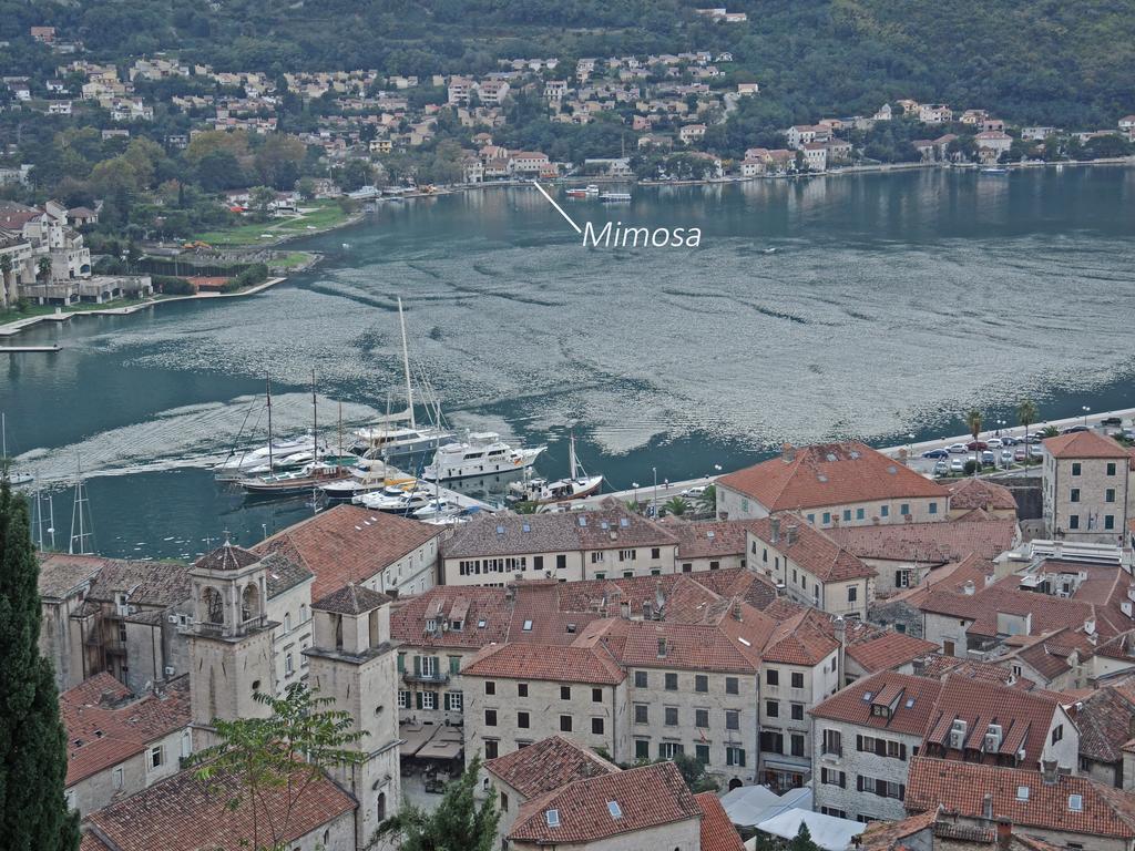 Apartment Mimosa Kotor Værelse billede
