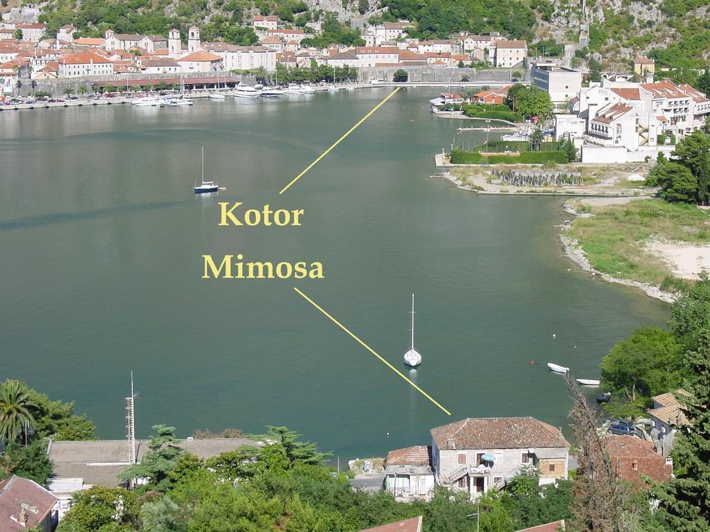 Apartment Mimosa Kotor Værelse billede