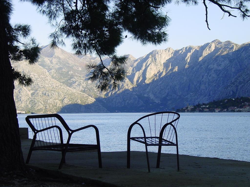 Apartment Mimosa Kotor Værelse billede