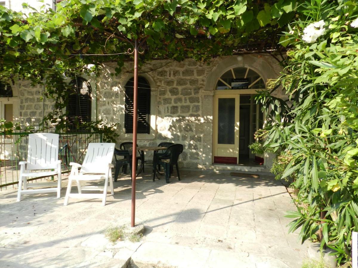 Apartment Mimosa Kotor Eksteriør billede